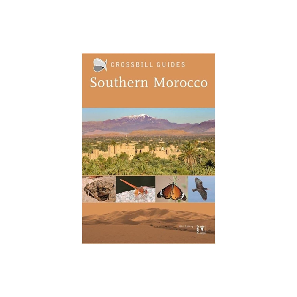 Produktbild för Southern Morocco (häftad, eng)