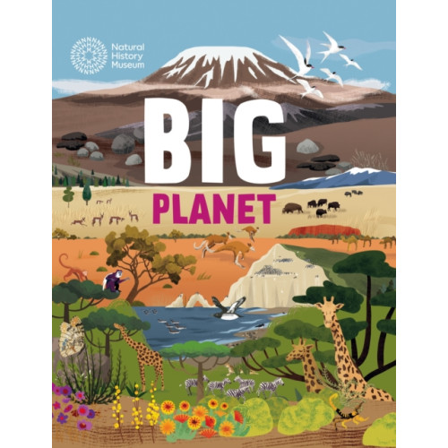 Hachette Children's Group Big Planet (häftad, eng)