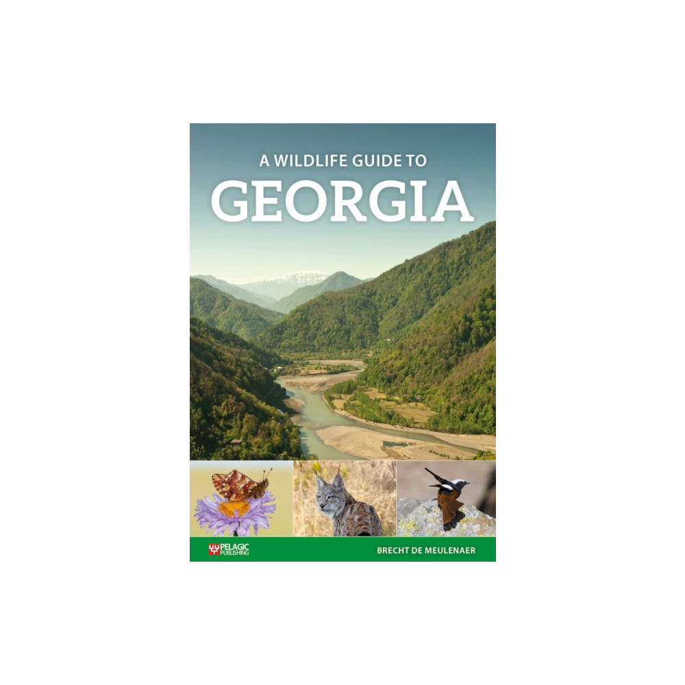 Produktbild för A Wildlife Guide to Georgia (häftad, eng)