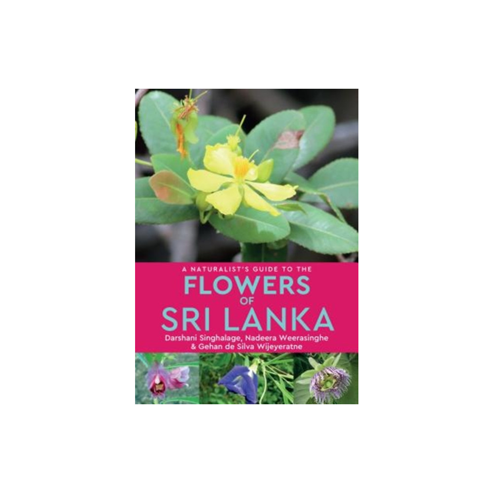 Produktbild för A Naturalist’s Guide to the Flowers of Sri Lanka (häftad, eng)
