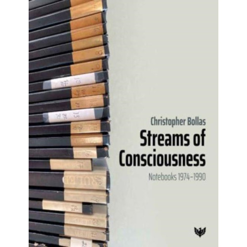 Karnac Books Streams of Consciousness (häftad, eng)