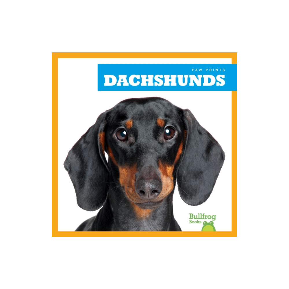 Produktbild för Dachshunds (inbunden, eng)