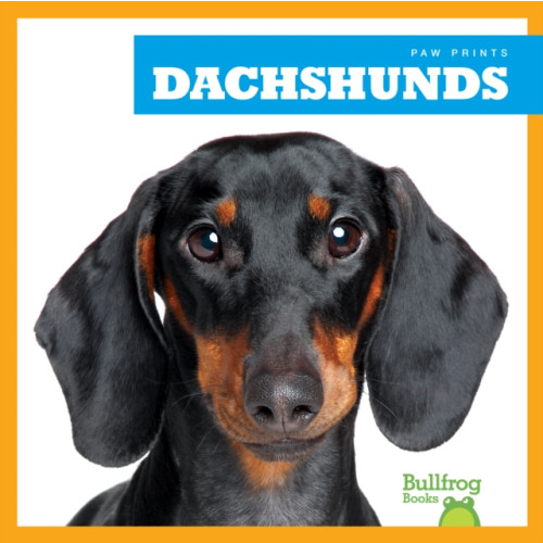 Jump! Incorporated Dachshunds (inbunden, eng)