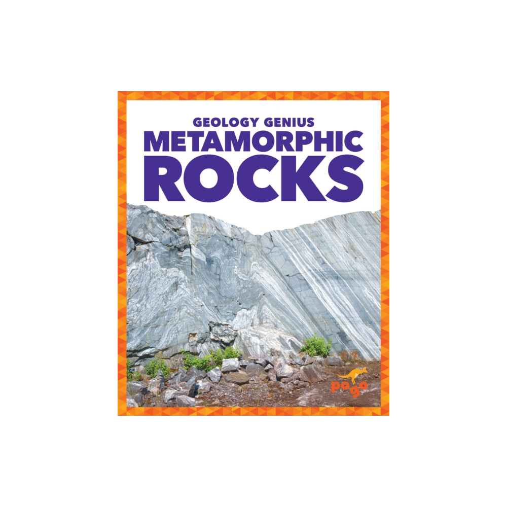 Produktbild för Metamorphic Rocks (inbunden, eng)