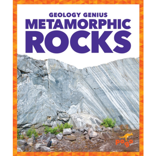 Jump! Incorporated Metamorphic Rocks (inbunden, eng)