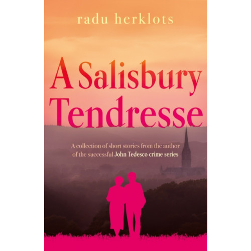 Troubador Publishing A Salisbury Tendresse (häftad, eng)