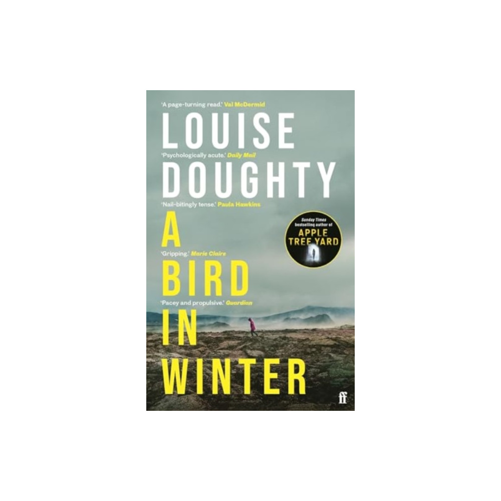 Produktbild för A Bird in Winter (häftad, eng)