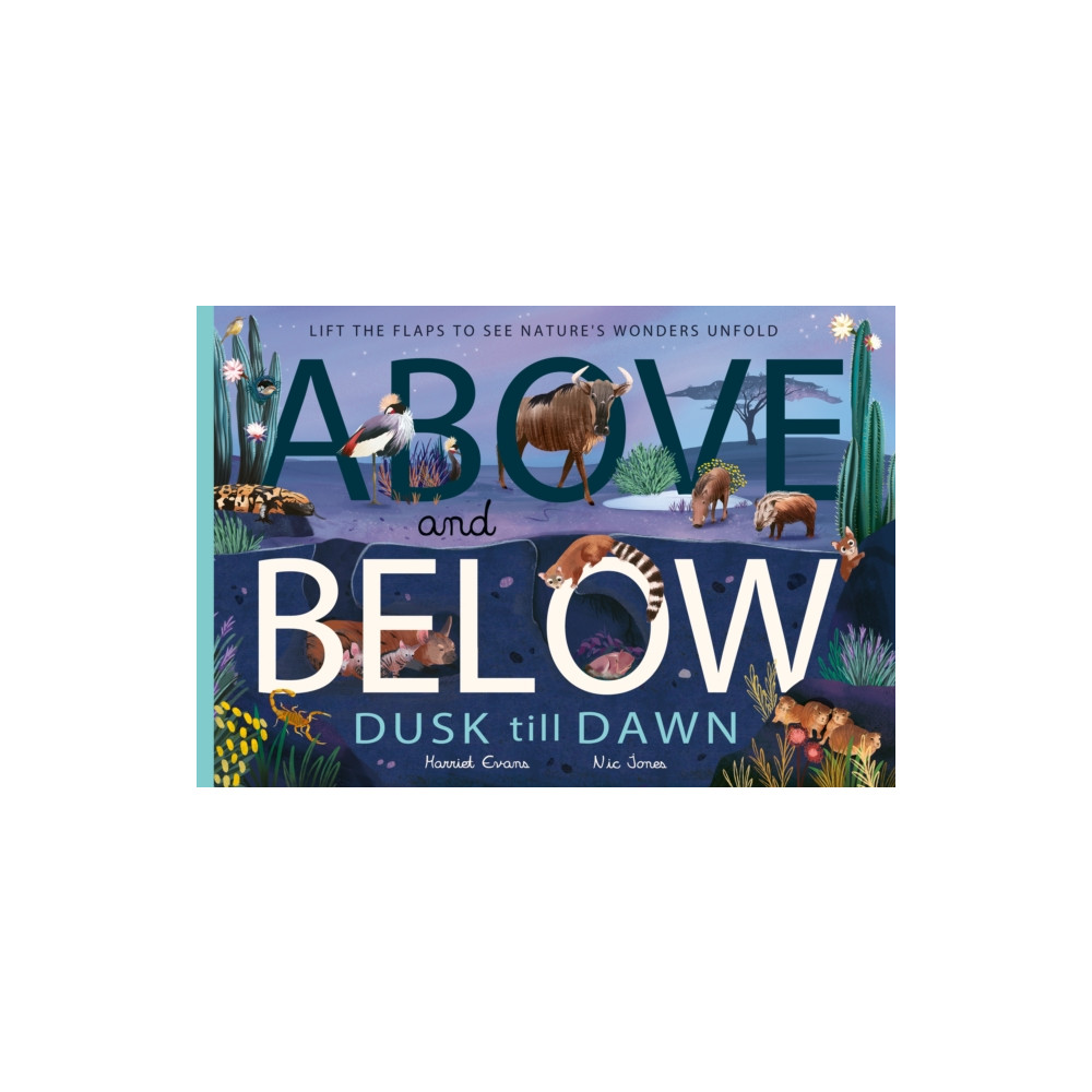 Produktbild för Above and Below: Dusk till Dawn (häftad, eng)