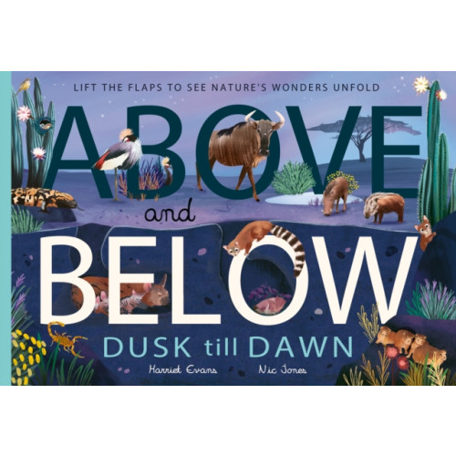 Little Tiger Press Group Above and Below: Dusk till Dawn (häftad, eng)