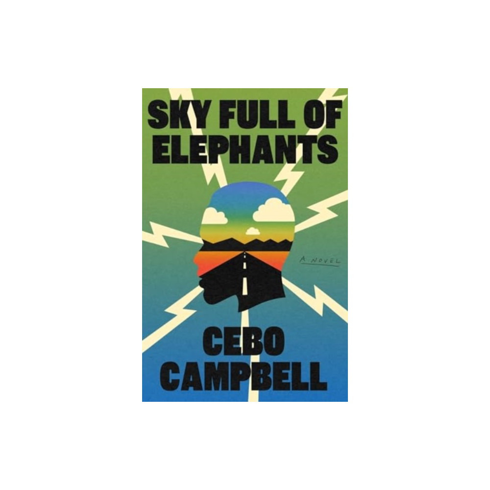 Produktbild för Sky Full of Elephants (inbunden, eng)