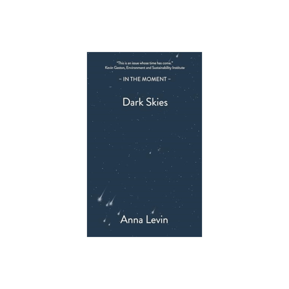 Produktbild för Dark Skies (häftad, eng)