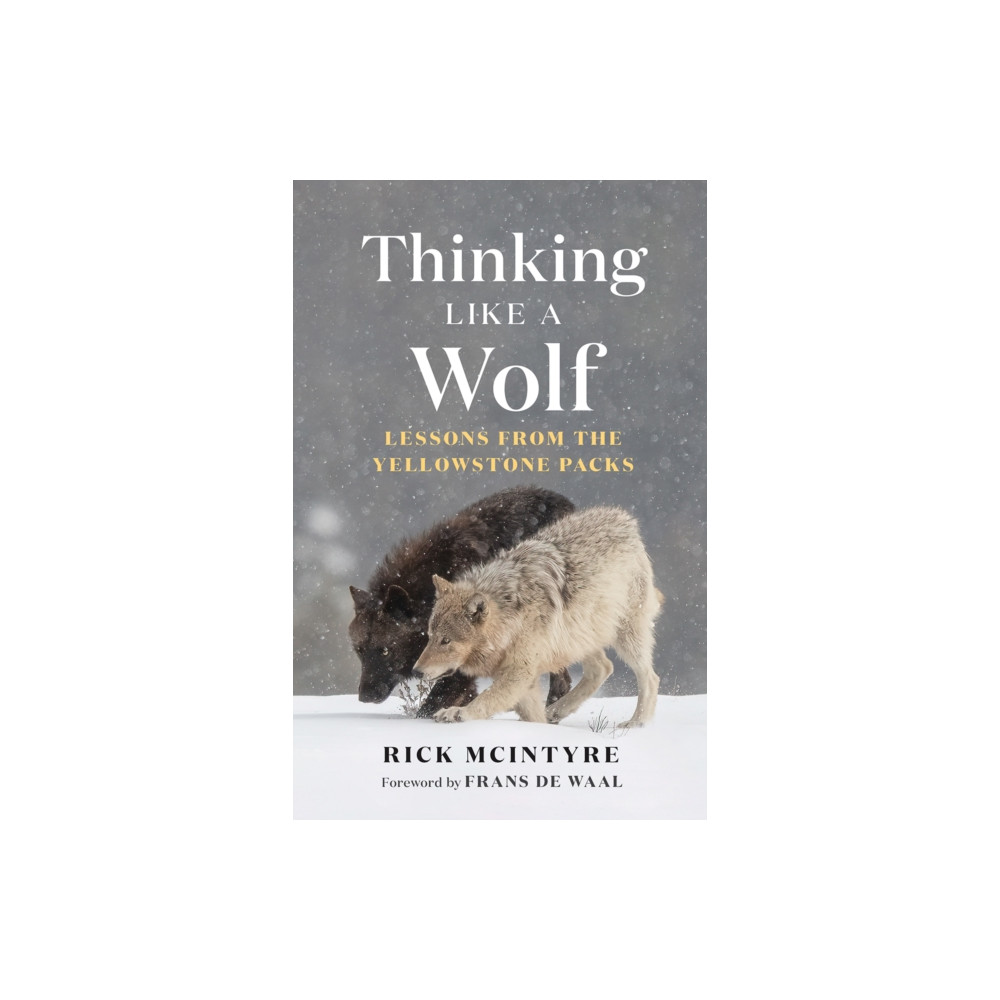 Produktbild för Thinking Like a Wolf (inbunden, eng)