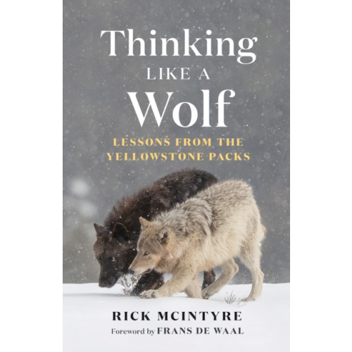 Greystone Books,Canada Thinking Like a Wolf (inbunden, eng)