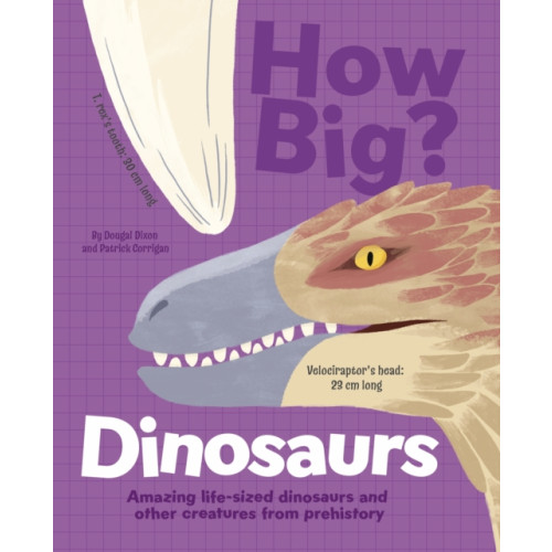 Arcturus publishing ltd How Big? Dinosaurs (inbunden, eng)