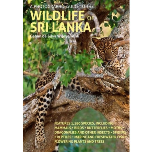 John Beaufoy Publishing Ltd A Photographic Guide to the Wildlife of Sri Lanka (häftad, eng)