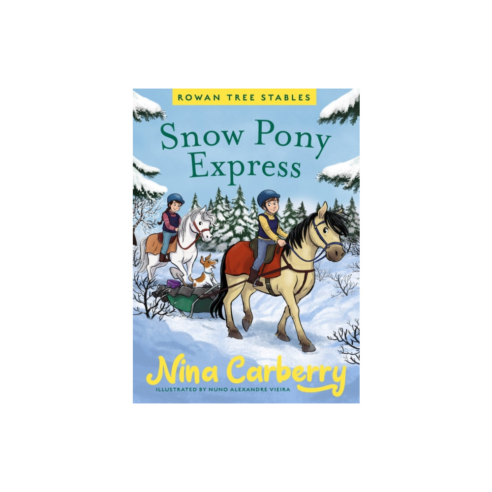 Produktbild för Rowan Tree Stables 3 - Snow Pony Express (inbunden, eng)