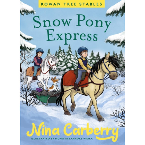 Gill Rowan Tree Stables 3 - Snow Pony Express (inbunden, eng)
