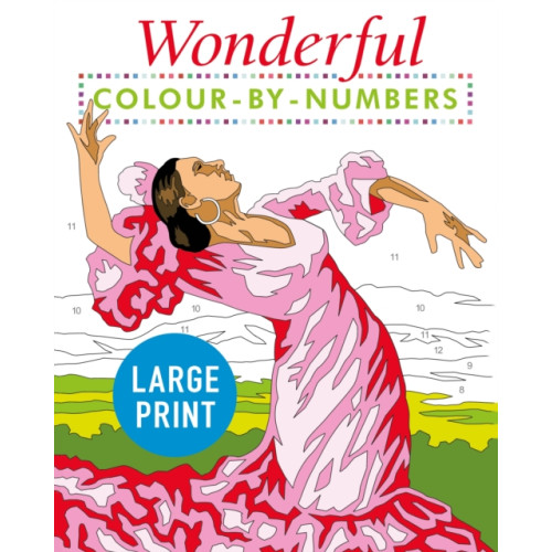 Arcturus publishing ltd Wonderful Colour by Numbers Large Print (häftad, eng)