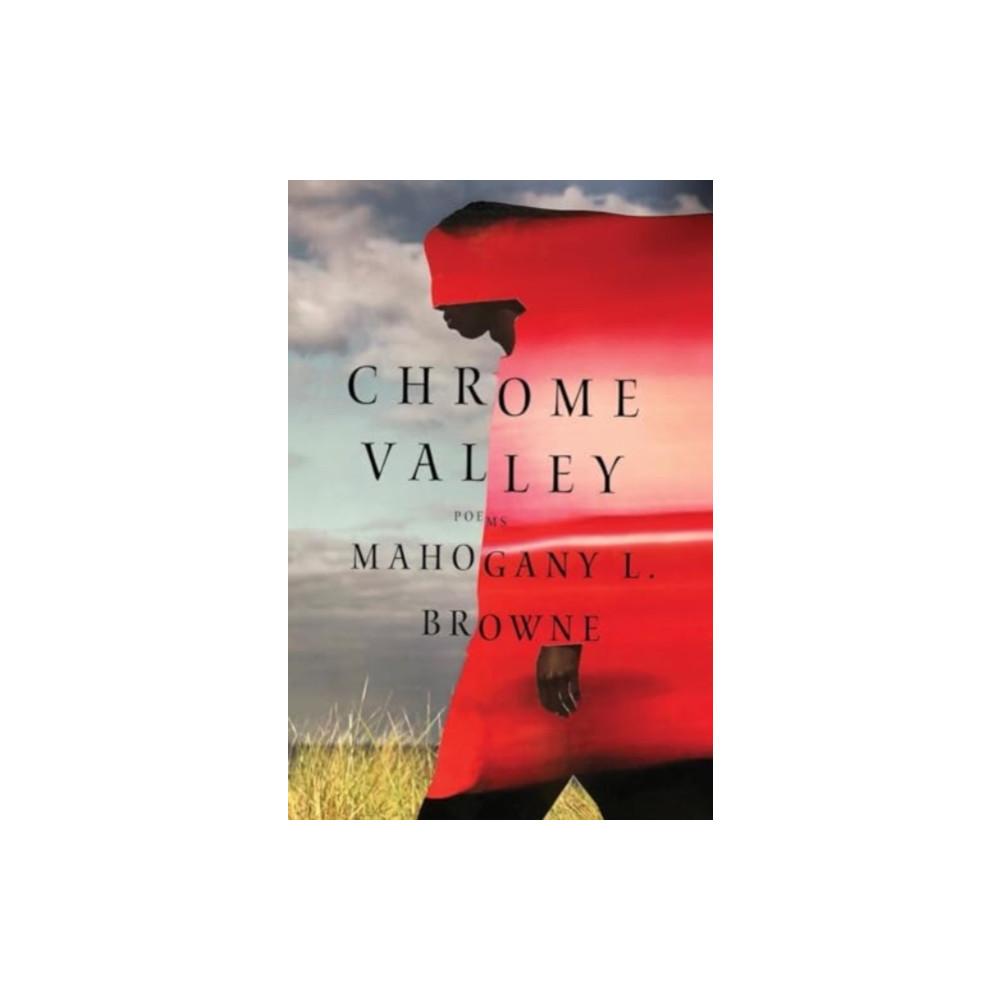 Produktbild för Chrome Valley (häftad, eng)