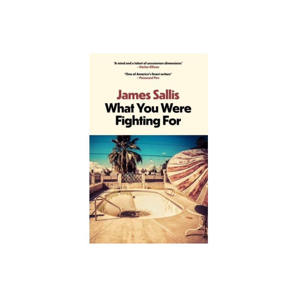 Produktbild för What You Were Fighting For (häftad, eng)