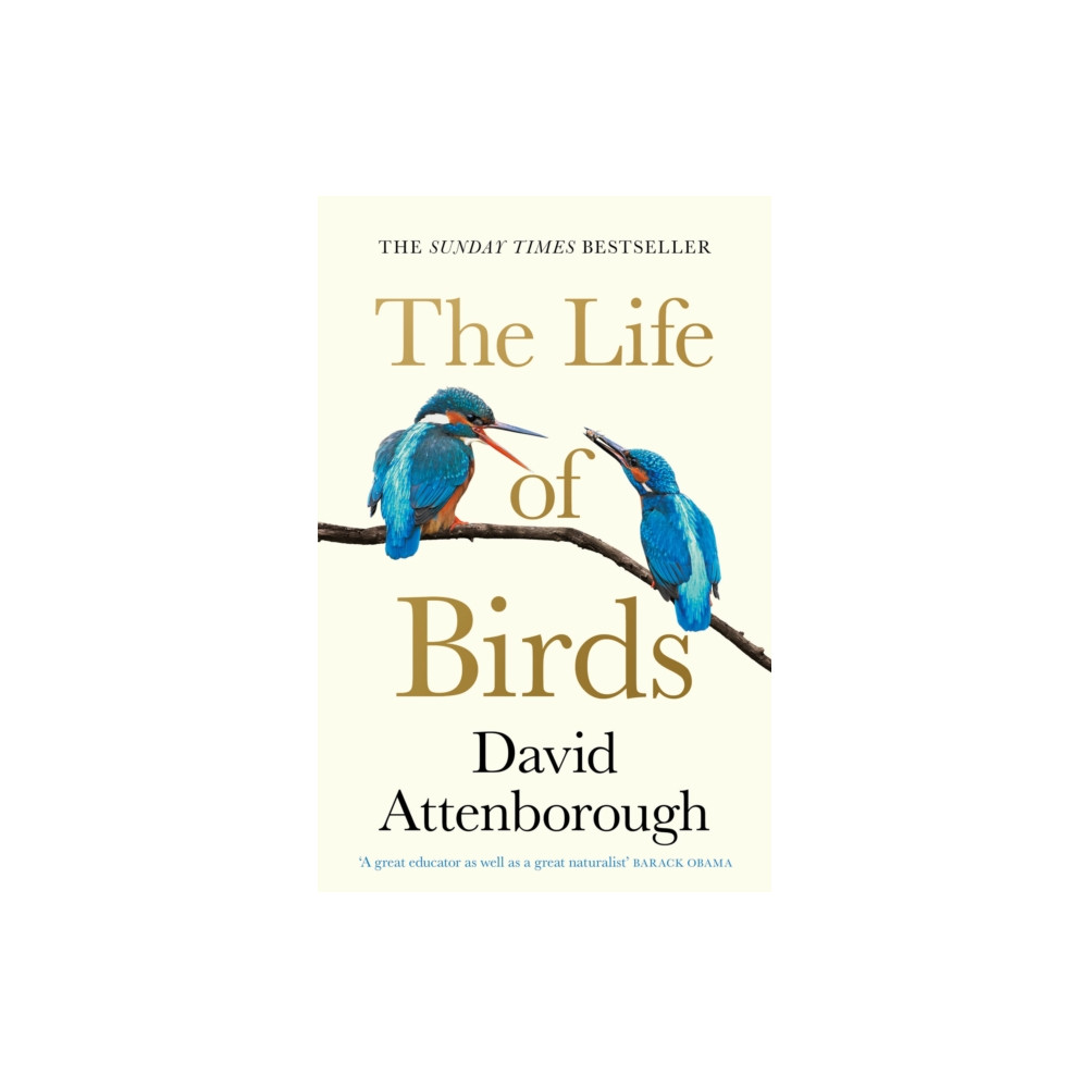 Produktbild för The Life of Birds (häftad, eng)