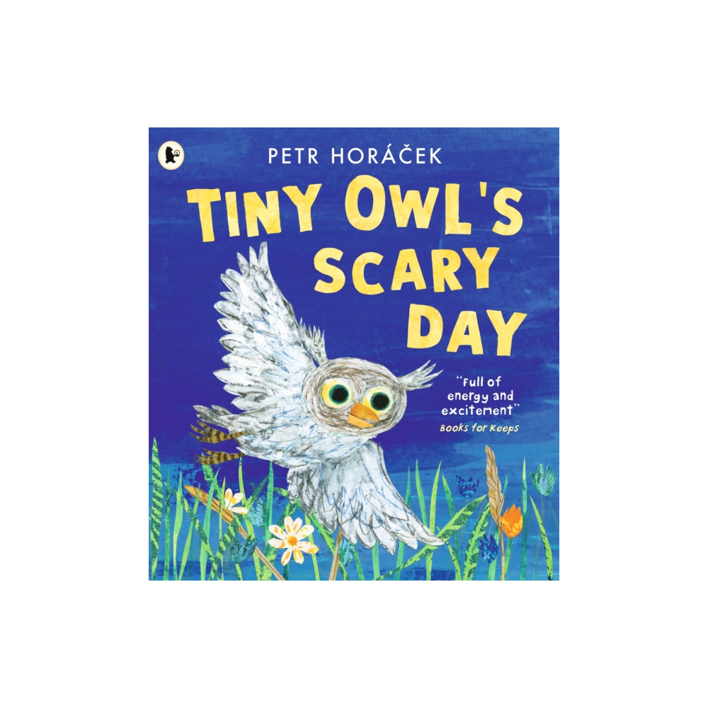 Produktbild för Tiny Owl's Scary Day (häftad, eng)