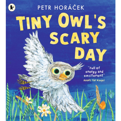 Walker Books Ltd Tiny Owl's Scary Day (häftad, eng)