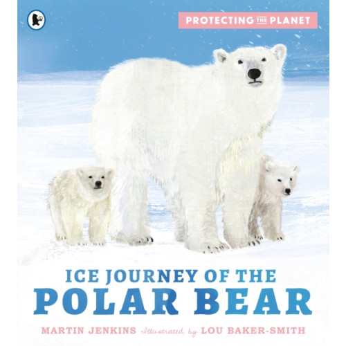 Walker Books Ltd Protecting the Planet: Ice Journey of the Polar Bear (häftad, eng)