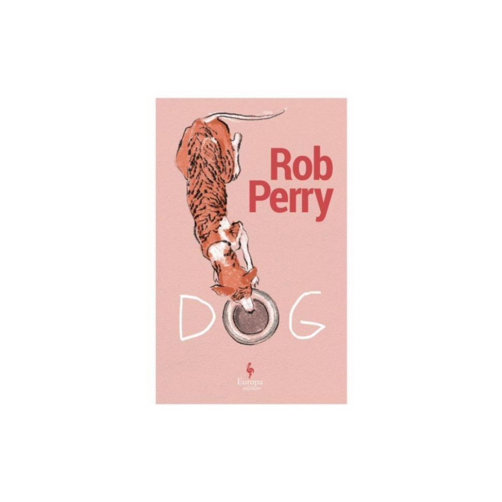 Produktbild för Dog (häftad, eng)