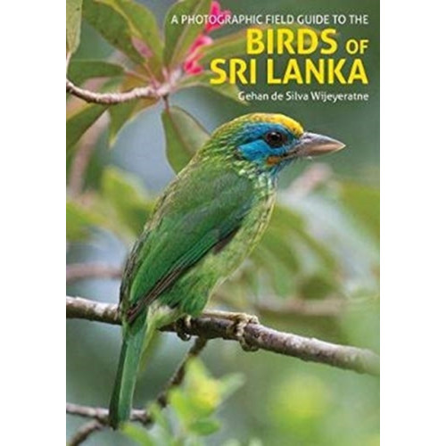 John Beaufoy Publishing Ltd The Birds of Sri Lanka (häftad, eng)