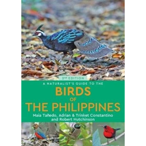 John Beaufoy Publishing Ltd A Naturalist’s Guide to the Birds of the Philippines (2nd edition) (häftad, eng)