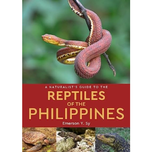 John Beaufoy Publishing Ltd A Naturalist's Guide to the Reptiles of the Philippines (häftad, eng)