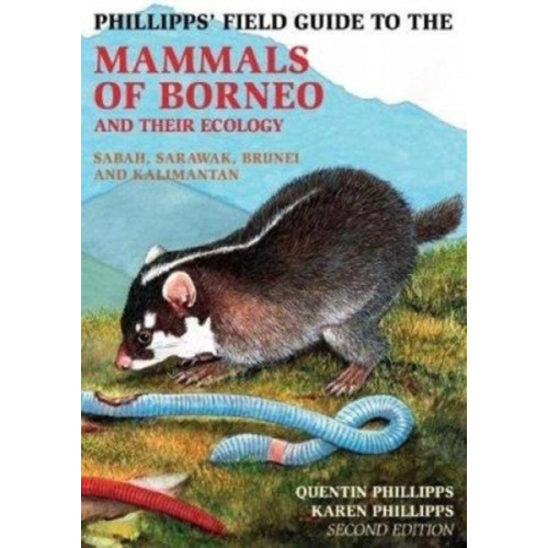 John Beaufoy Publishing Ltd Phillipps Field Guide to the Mammals of Borneo (2nd edition) (häftad, eng)