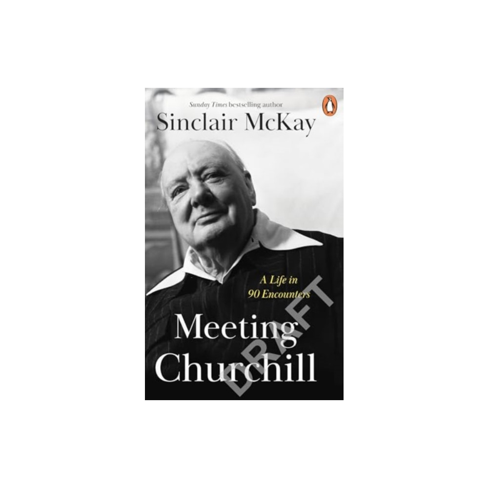 Produktbild för Meeting Churchill (häftad, eng)