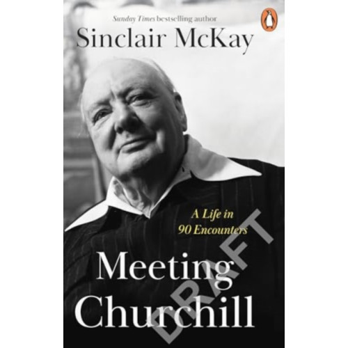 Penguin books ltd Meeting Churchill (häftad, eng)
