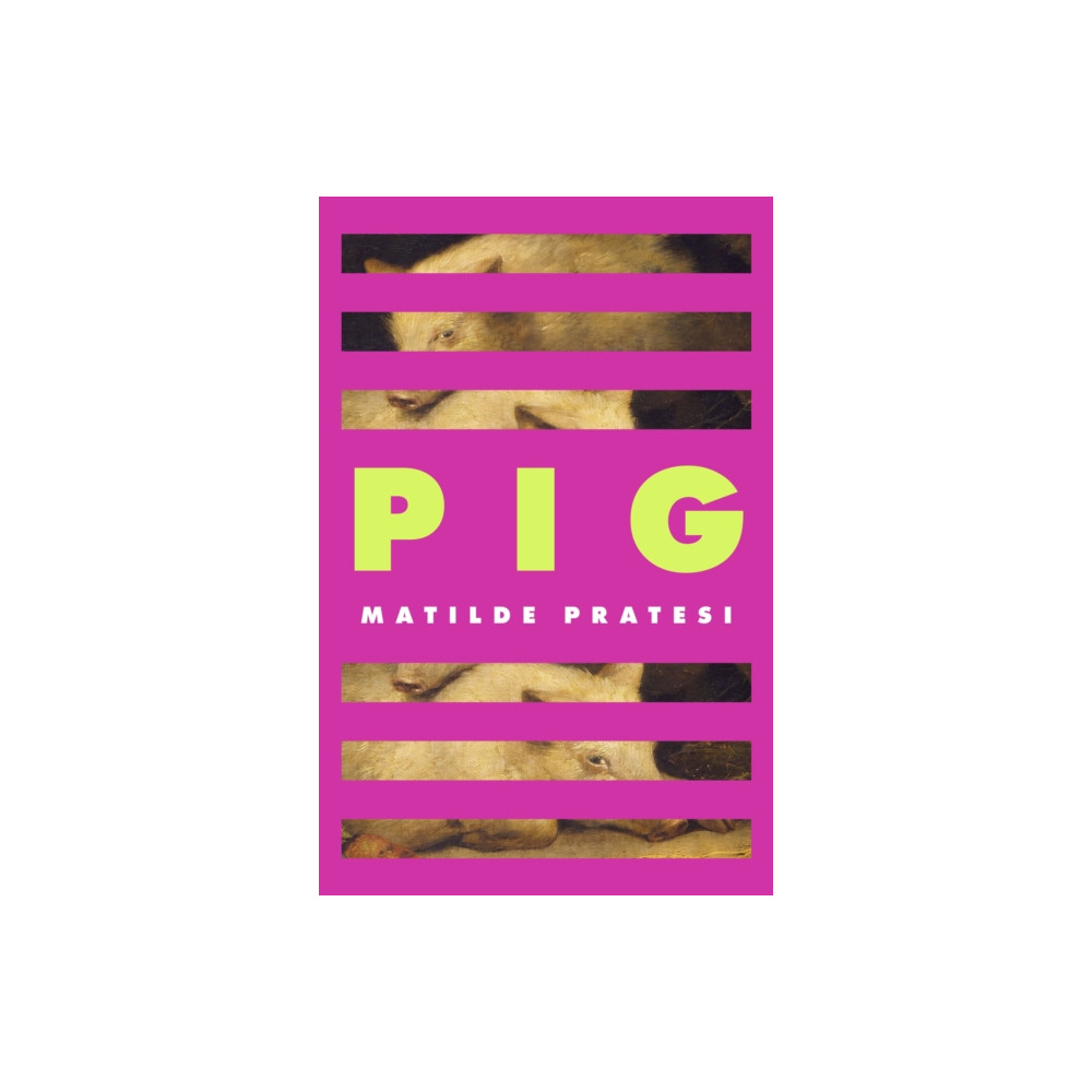 Produktbild för Pig (inbunden, eng)