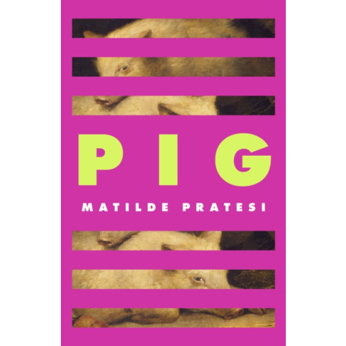 Little, Brown Book Group Pig (inbunden, eng)