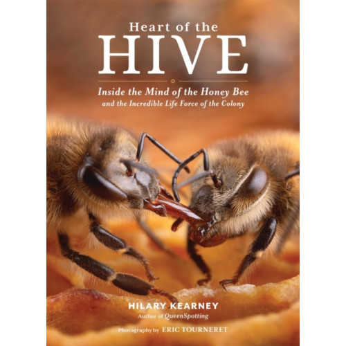 Workman Publishing Heart of the Hive (inbunden, eng)