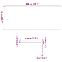 Produktbild för Fönsterbänkar 2 st obehandlad 100x40x2 cm massiv ek