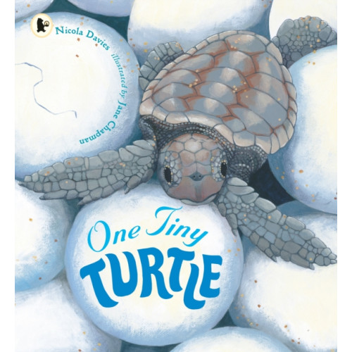 Walker Books Ltd One Tiny Turtle (häftad, eng)