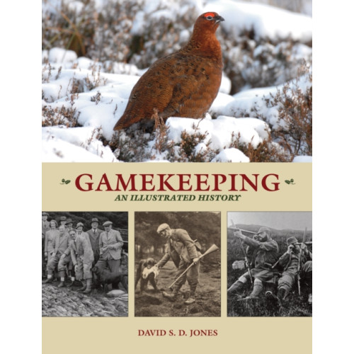 Quiller Publishing Ltd Gamekeeping: An Illustrated History (häftad, eng)