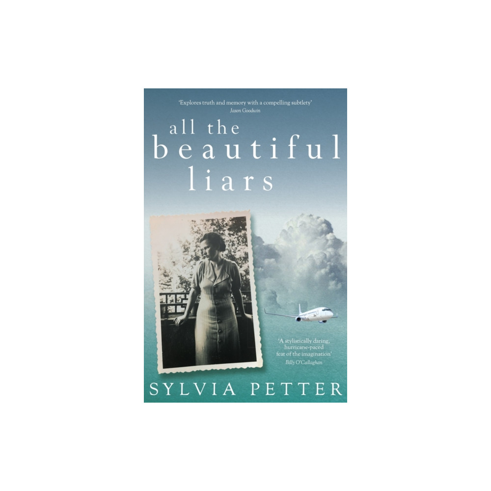 Produktbild för All the Beautiful Liars (häftad, eng)
