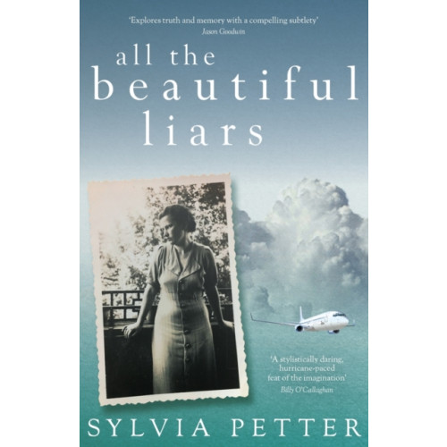Eye Books All the Beautiful Liars (häftad, eng)