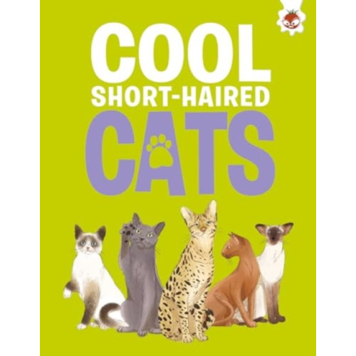 Hungry Tomato Ltd Cool Short-Haired Cats (häftad, eng)