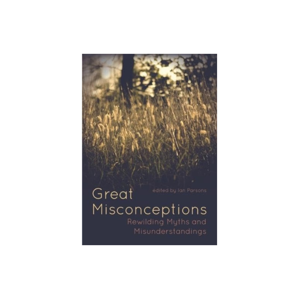 Produktbild för Great Misconceptions (häftad, eng)