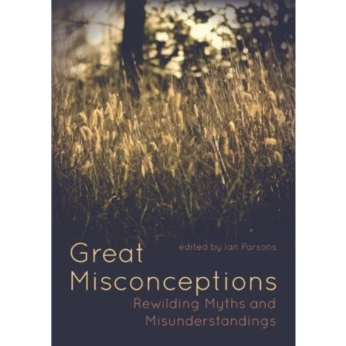 Great Misconceptions , Porto Press Ltd (häftad, english)