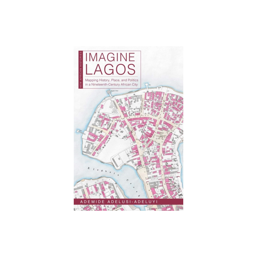 Produktbild för Imagine Lagos (häftad, eng)