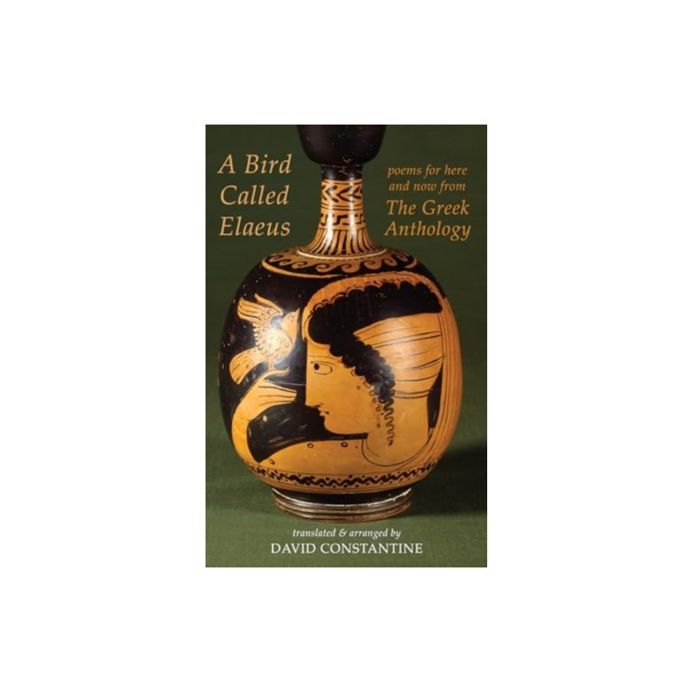 Produktbild för A Bird Called Elaeus (häftad, eng)