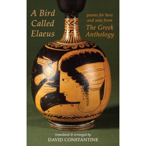Bloodaxe Books Ltd A Bird Called Elaeus (häftad, eng)