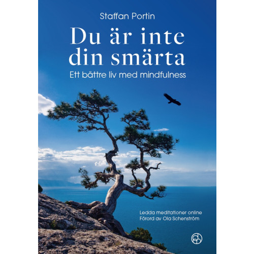 Staffan Portin Du är inte din smärta : ett bättre liv med mindfulness (inbunden)